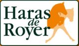 
Haras de Royer : c'est l'hiver !!
