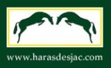 
Haras des Jac : Y a-t-il un malaise sur la vente des chevaux en
France ?
