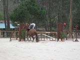 Horse club de Bordeaux :
