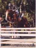 
Haras du Fougeray : Jasper Bleu 5&egrave;me du Grand Prix du CSI ** de
WIEZE !
