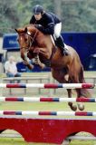 
Haras des Jac : LOVE LOVE'JAC gagne le Grand Prix Pro 1 de St
Seurin sur Isles
