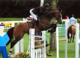 
Haras de Hus : Calendrier de Concours des &eacute;talons (Semaine 10)
