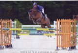 
Haras du Fougeray : "Norton de Vains" chez Erick Lamaze
