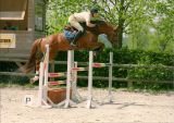
Elevage Ste Hermelle : quaduc ste
hermelle SF.
