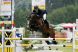 balou du rouet
