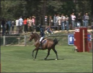 Cheval - Seven'hille SFA