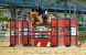 Chevaux &agrave; vendre - TCHIN SAINT AUBIN