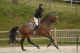 Sallie &eacute;talon - the must de riverland SFA
