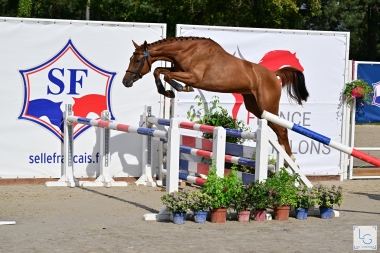 Moonwalker du Fleuve SF