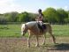 Chevaux &agrave; vendre - Orane de Mai