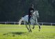 Cheval - Aquelblup AA