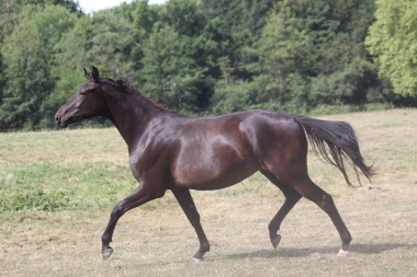 Fiona été 2014