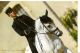 Cheval - Aquelblup AA