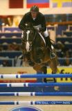 
Haras de Hus : PIN BALL 4
WESTF
