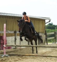 Cheval &agrave; vendre - MERIC TRAK