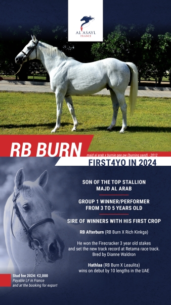 RB BURN AR