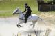 Cheval - Aquelblup AA - Quotkijet de Buissy/Philippe Mull
