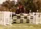 Cheval - Aquelblup AA - Agence /Bernard Clot/Championnat de France