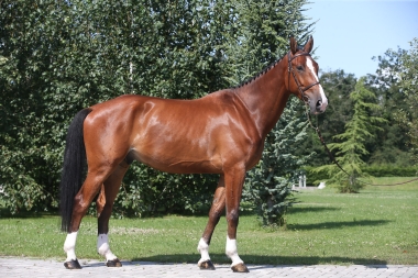 <b>JR 6 ans, 2025</b>  